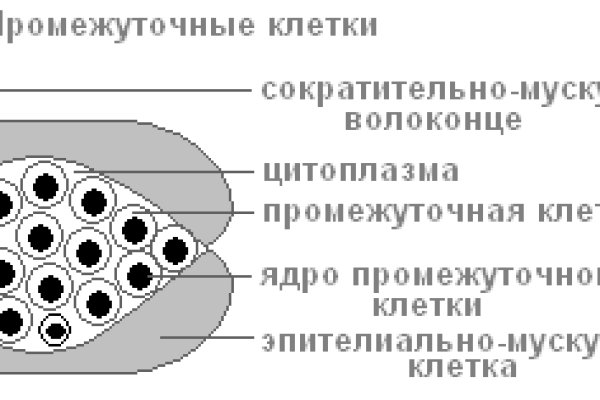 Картинка кракен маркетплейс